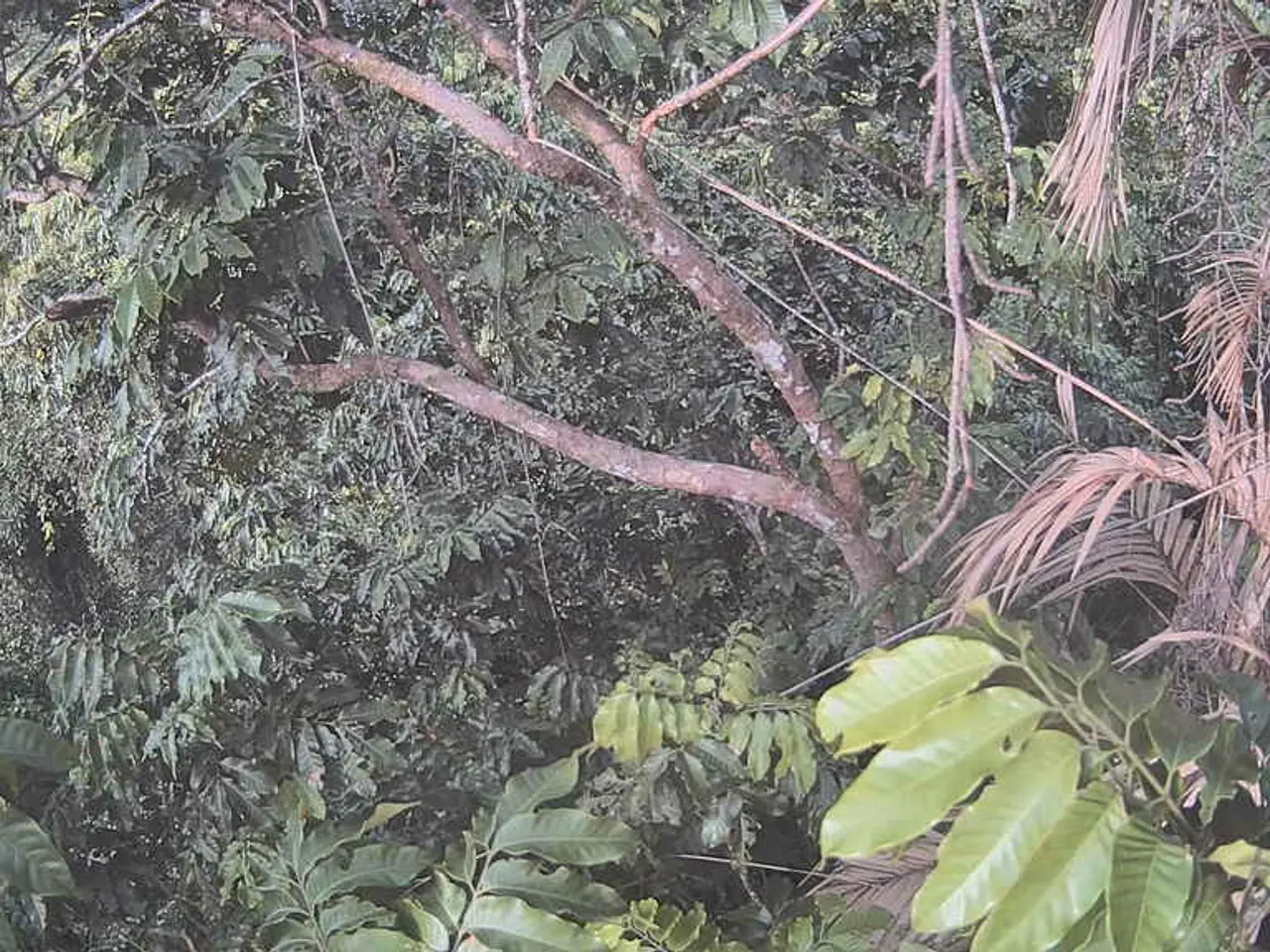 Financial assistance of PHP 1.5 million is provided by DSWD to around 500 students of DNSC.