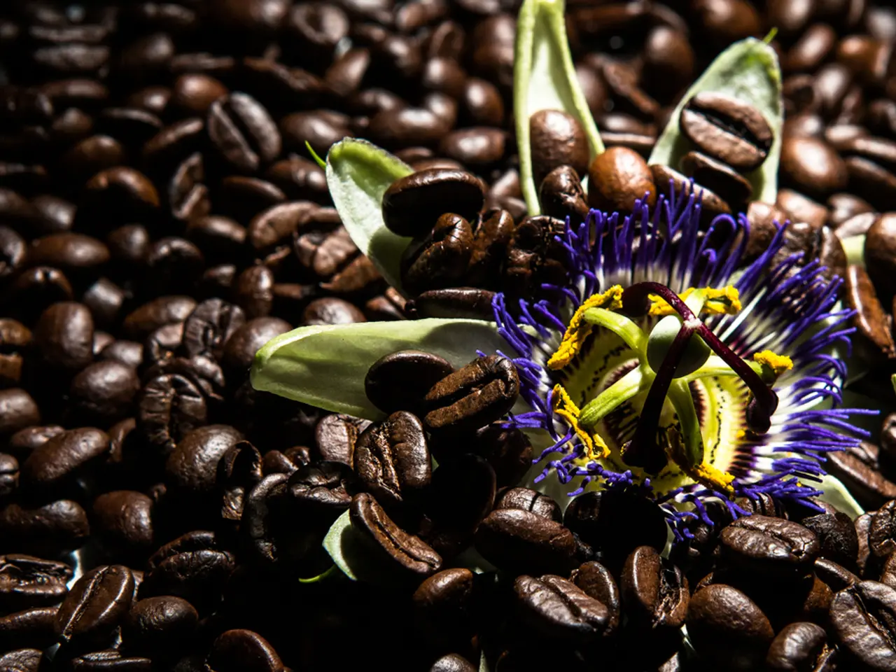 Alternative Sources of Caffeine: Healthy Options for Your Stimulation Needs