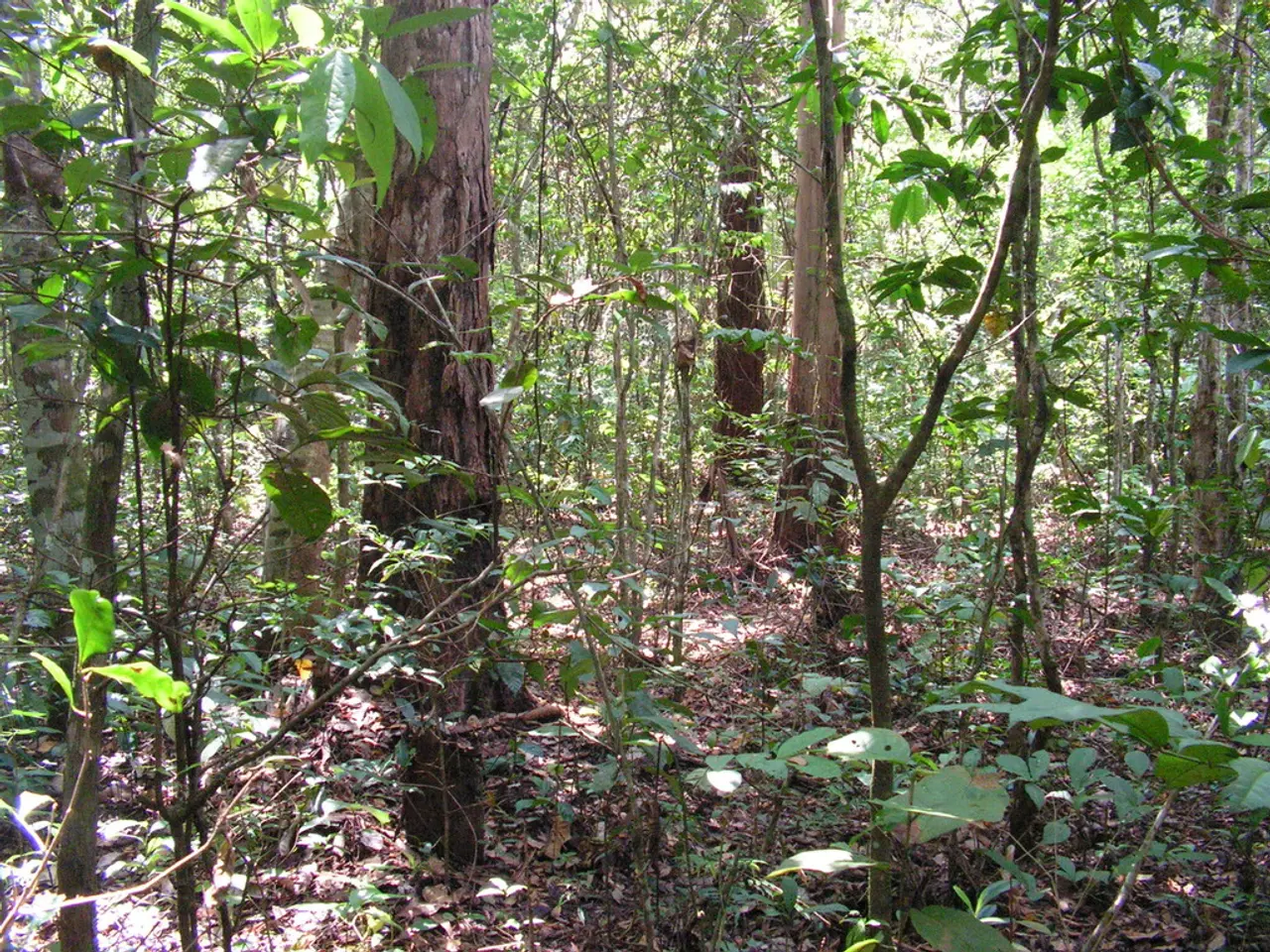 Tree Planting Event: 100 Trees, 500 Flower Bulbs, and an Environmental Workshop Scheduled for Biała...