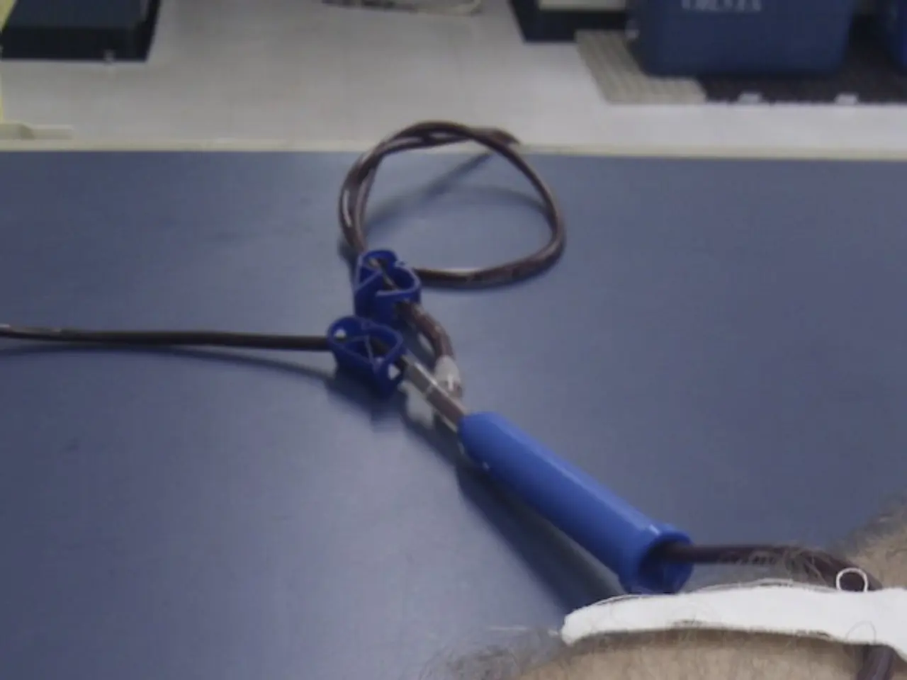 Medical Profession Faces Urgent Need for Increased Number of Family Physicians as Laumann Advocates...