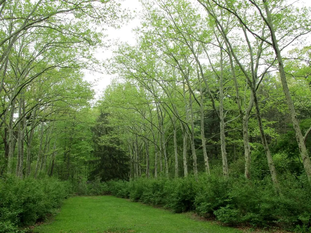 Bioengineering's Impact on Ecological Rehabilitation