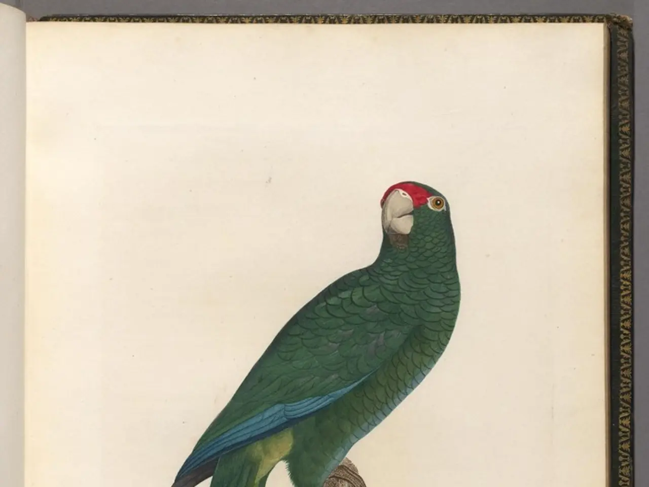 Learning Sabr through Ramadan: Discovering Patience in a Swift-Paced Society