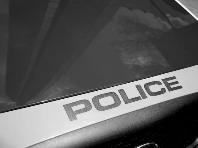 Obtaining a Bachelor's Degree in Legal Education at the MV plant