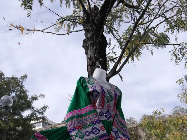 Exploration of Fashion Design Economics in South Africa: An Inquiry into the Prospects beyond Major...