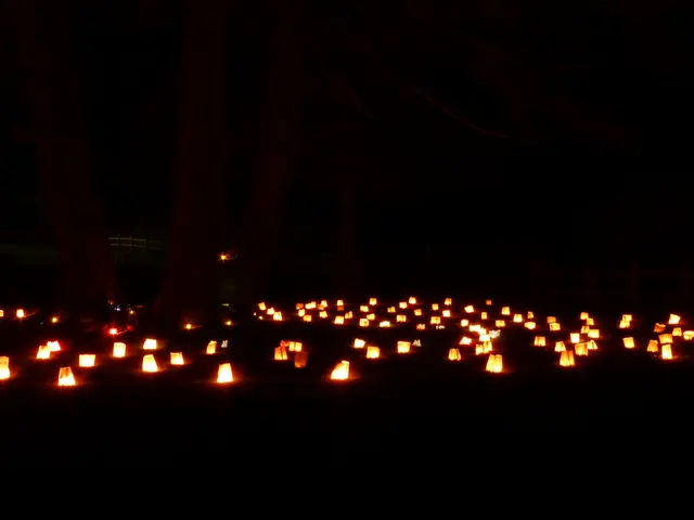 Insights Gained from Image Appraisals