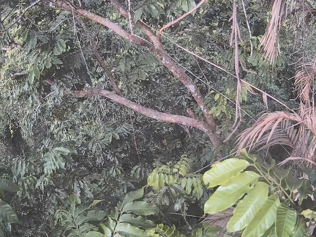 Financial assistance of PHP 1.5 million is provided by DSWD to around 500 students of DNSC.