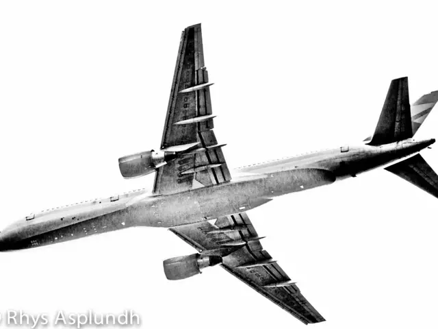 Aircraft Wing Orientation Angle During Flight