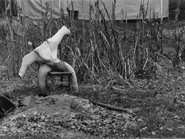 Unreasonable Anxieties and Unfounded Worries: An Exploration of Phobias and Irrational Fears