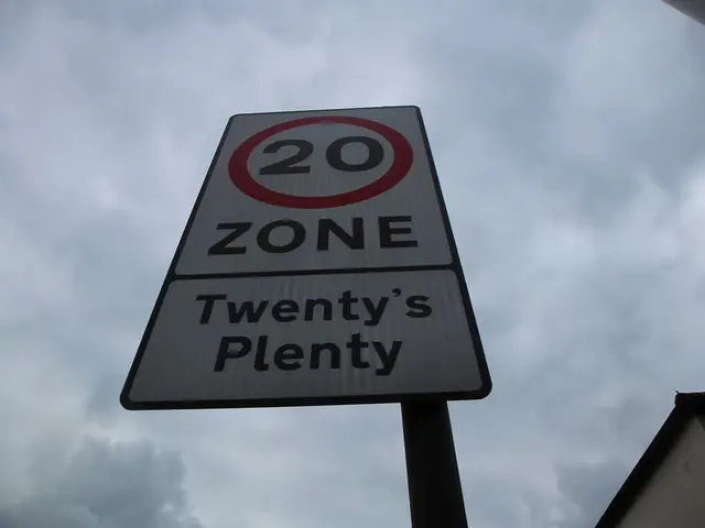 Investigating the Aerial Traits and Astrological Implications of Gemini, Sign of the Twins