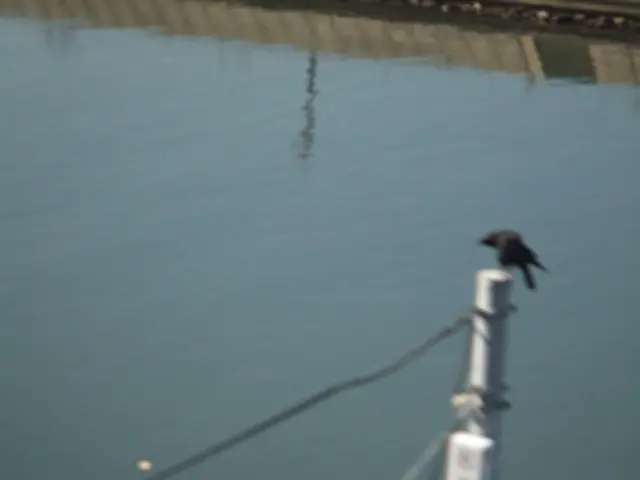 Water Manipulation Test: Alleged Demonstration of Altering Water's Physical State