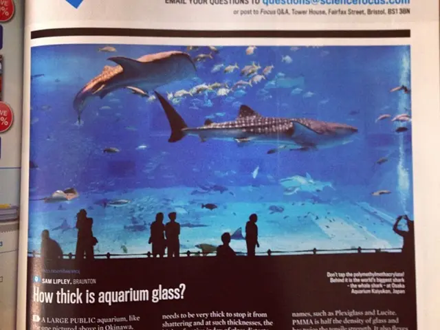 Emergence of Indigenous Youth in the Creative Sphere: Search for Innovative Minds and Pioneers in...