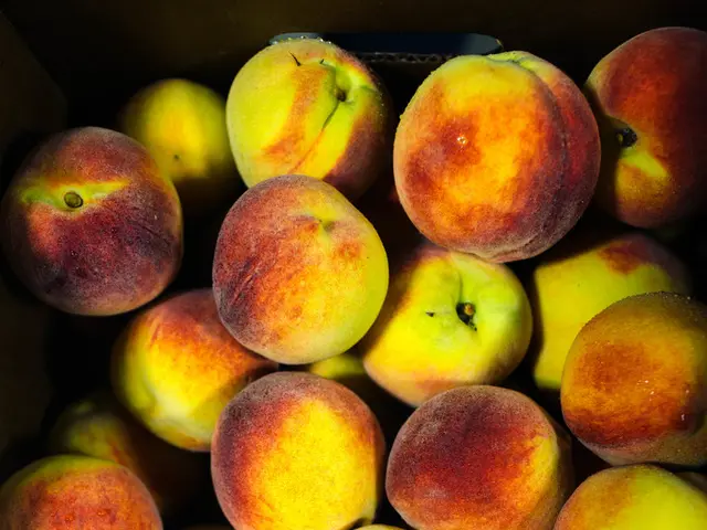 Apple's prospective Chief Operating Officer, Sabih Khan - An overview of his career and key...