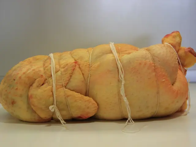 Hypoproteinemia: Symptoms, causes, and management