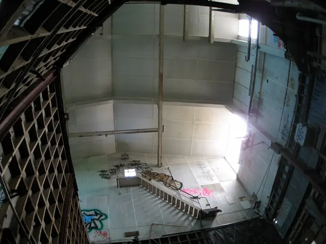 Iron Deficiency Is Prevalent Yet Manageable: Strategies to Enhance Your Iron Levels Naturally