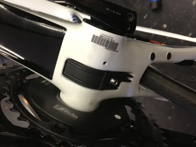 Permanent employment may not be advantageous for certain jobs