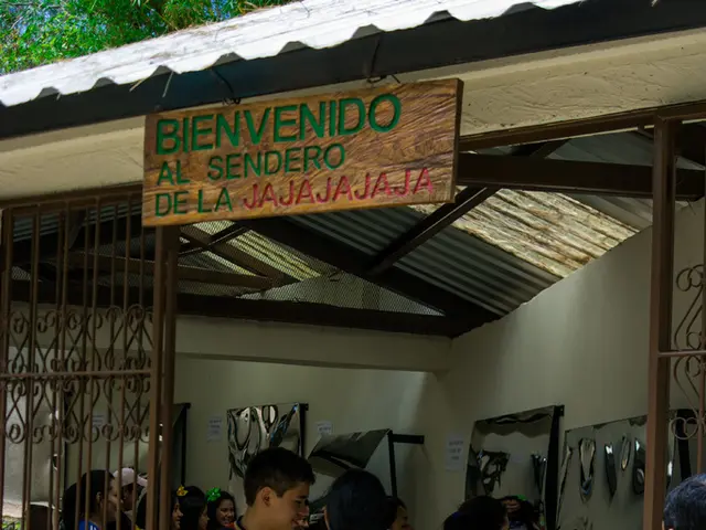 Identifying Excessive Negativity: Recognizing and Coping with Persistent Pessimism