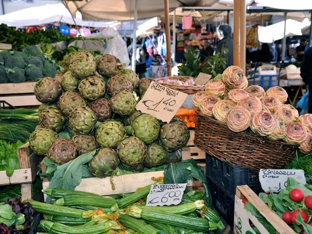 Hawaii-based Girl Scouts organization intends to expand operations on the Big Island.