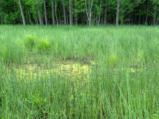 Delaware County's Recker Family Honored with the Wergin Good Farm Neighbor Recognition