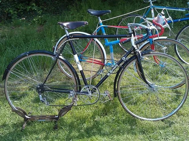 Embracing the Earth as an Amorous Partner: The Ecosexual Movement's Perspective