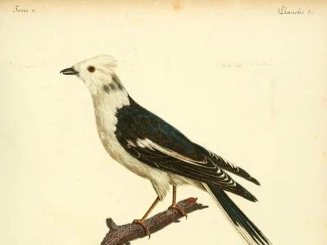 "15 Powerful Expressions on Embracing Forward Motion and Detaching from Past Ties: A Path Towards...