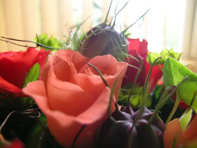 Today marks both Lipstick Day and Caring Day