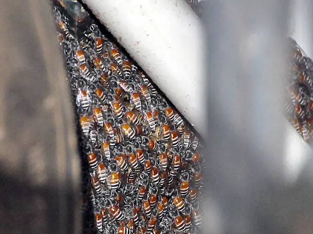 Lucrative Professions Leveraging a Psychology Background: Insights into 7 Rewarding Careers