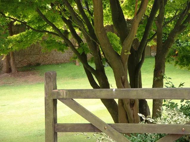 Strategies for cultivating an eco-friendly corporate atmosphere