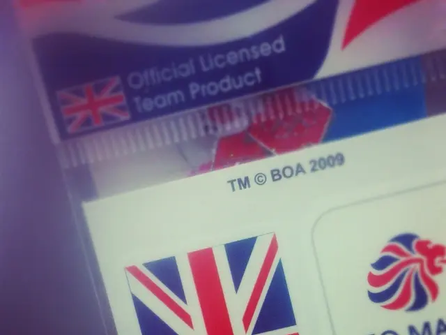 Projections for the Evolution of Digital Identification by 2025