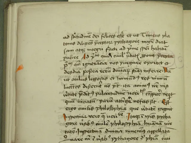 Revealing Strategies for Effective On-Site SEO Enhancement