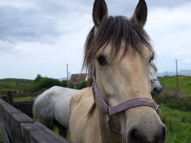 Farm belonging to Jeremy Clarkson experiences bovine tuberculosis incident