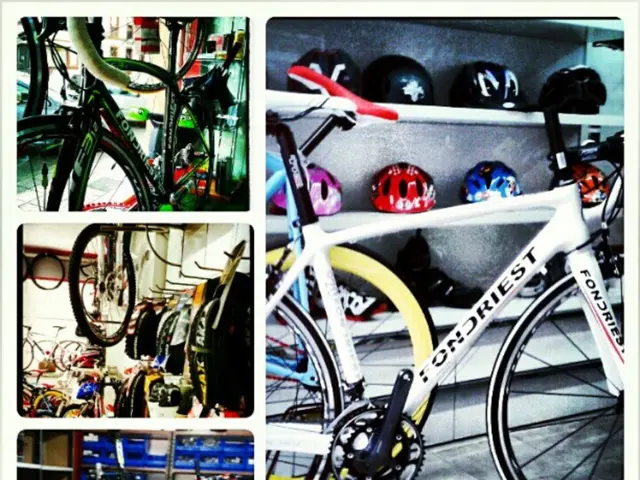 Delving into Emilio Kassimatis' Time at ATC Automotive Education Institute