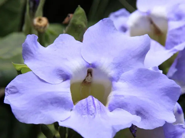 Daily Dose of Inspiration: 15 Quotes to Fuel Your Motivation Each Morning