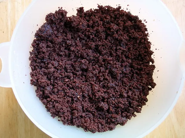 Increase in Gut-Related Brain Conditions Observed After COVID-19 Pandemic