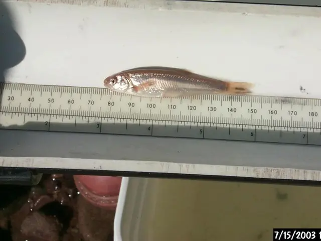 Which group exerts more effort - the French or the Germans?