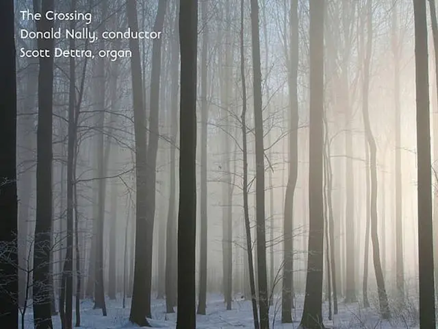 Insights Gleaned from the Cold Season