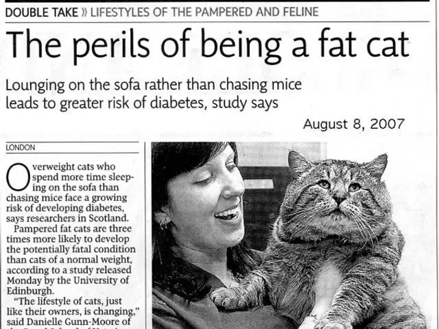 Increase in reported domestic violence incidents throughout Germany