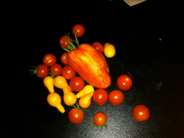 explore the advantages, potential drawbacks, and consumption methods of Camu Camu, a superfruit...