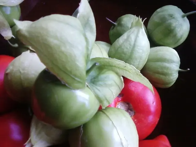 Chemical-Free Methods for Maintaining a Pesticide-Free Vegetable Garden