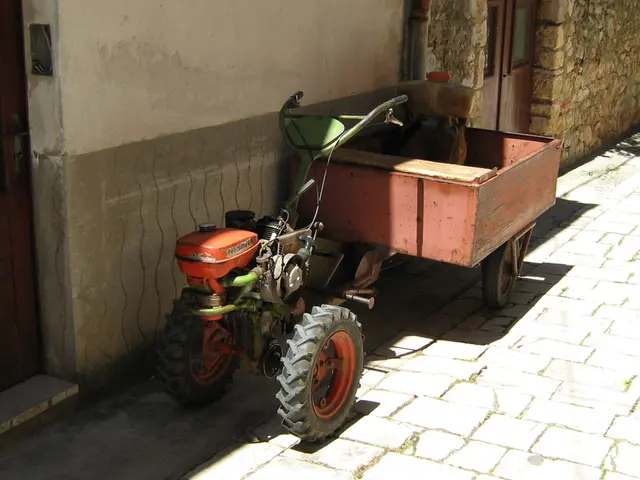 Regulation Implementation Rules to be Established by the Commission