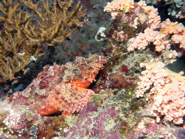 City-Sparkasse Solingen and the Biological Station Mittlere Wupper collaborate on a joint...