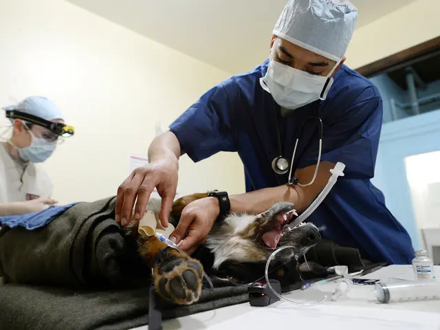 Eating Disorders: Recognizing Symptoms, Sharing Experiences, Assessment, Therapies, and Additional...