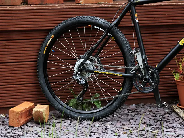 Competition for Essential Minerals: A Struggle for Scarce Resources