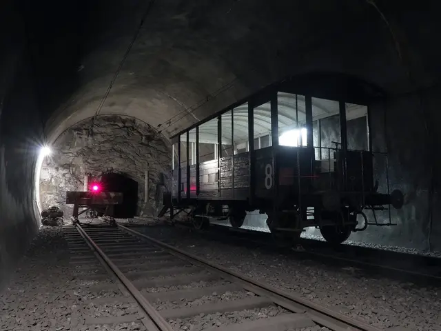 Slaves' Journey to Freedom: Southbound Migration for Libertad in Mexico