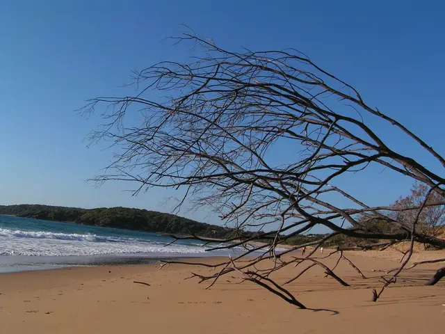 Onsite lessons in certain schools in Malabon suspended due to high tide levels
