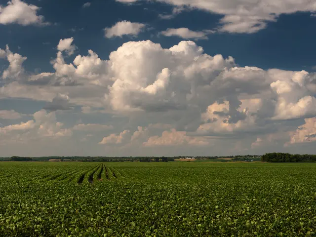 Investing in Human Capital for a Sustainable Economy: The Importance of Focusing on People