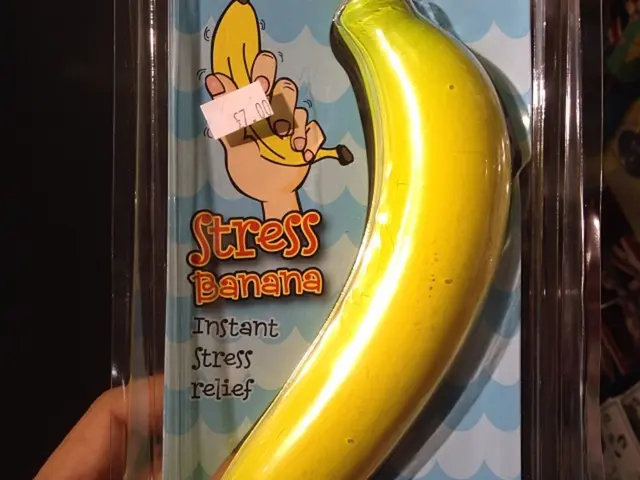 Long-term Stress's Impact on Brain Functioning and Memory Capacity