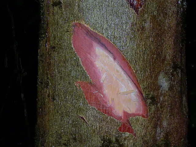 Pursuing STEM Education: Unveiling Professional Pathways and Engaging Initiatives