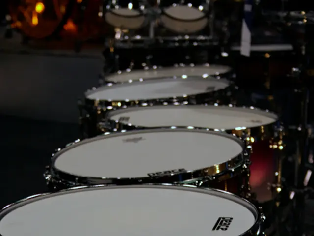 Consulted on EU's future by the Commission