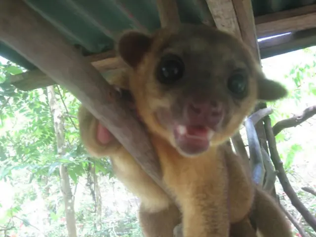 "Urgent plea made with salt granules!"