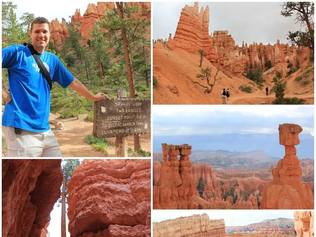 Investigating the Effects of Local Historical Initiatives on Learning Processes